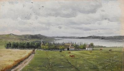 Landscape with grazing cows