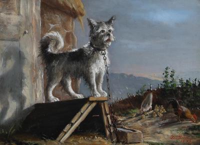 A dog in the chicken coop