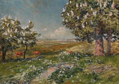 Summer landscape with grazing cows among chest nut trees.