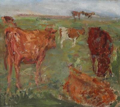 Cows on Saltholm