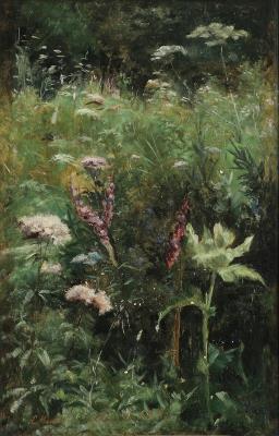 Wild flowers in a meadow