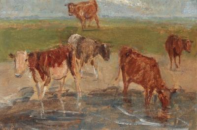 Calves on the island, Saltholm