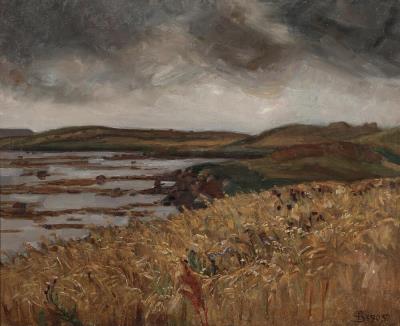 From the coast at Fynshoved on Funen