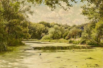 Summer day by a forest lake, swallows flying low