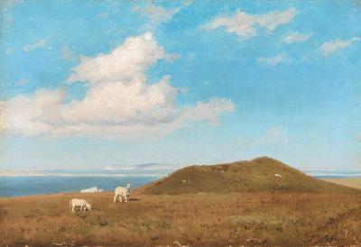 Coastal scenery with grazing sheep