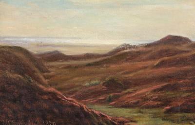 Dune landscape with ocean view