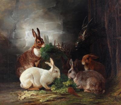 Stable with rabbits and a goat