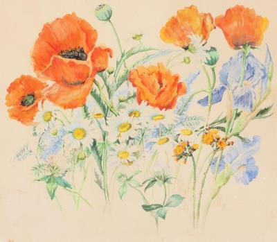 Poppies, daisies, and irises