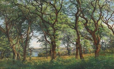 Forest scenery from Risskov with Aarhus Cathedral in the background