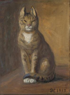 A striped cat