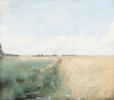A view over fields with trees in the distance
