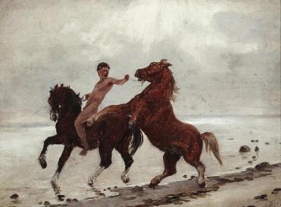 Horses ride to swimming