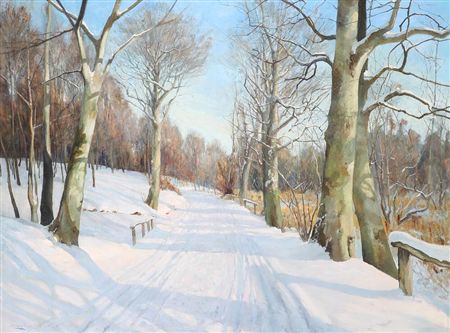 Winter landscape with a road in a forest
