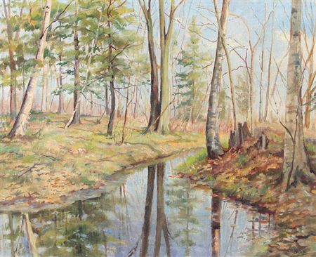 Forest scenery with a stream