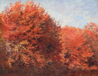 Forest Scenery, Autumn