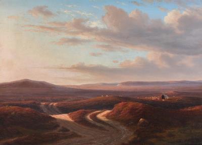 Hilly Heathered Landscape in the Evening Sun