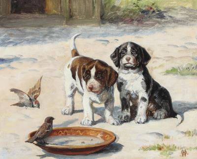 Two Puppies Watching Two Sparrows Wheeling Over Their Food