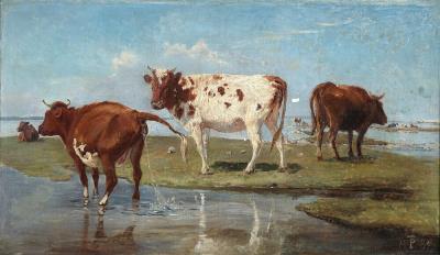 Cows on Saltholm