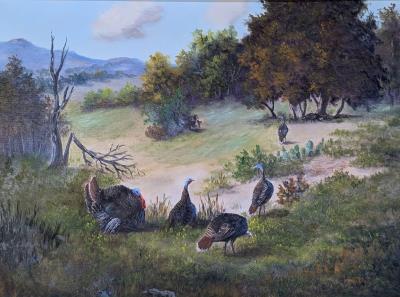 Turkeys