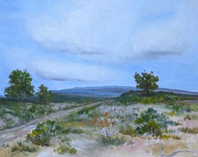 West Texas Landscape