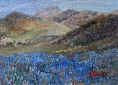 Bonnets of Blue