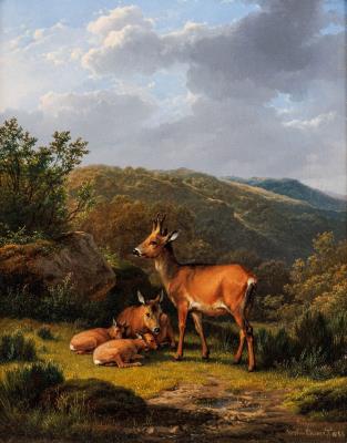 A family of deer resting