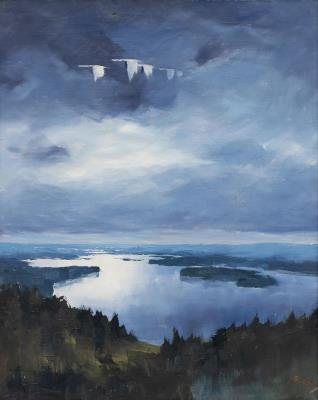 Birds over still water