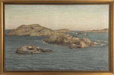 Eiders in the sea band