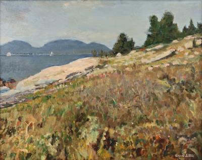 View from Baker Island