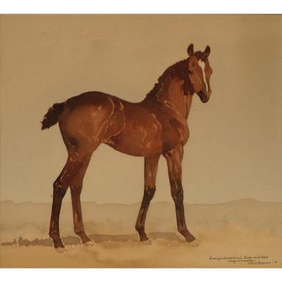 A Brown Foal by Paul Desmond Brown - Auction record, sale price, and art valuation. Compare with similar artists and explore comparable artworks.