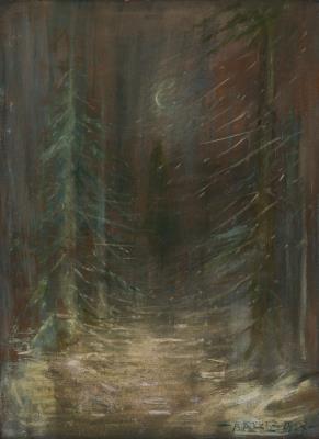 Winter Forest Landscape