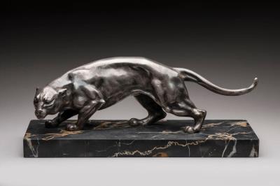 Panther on the prowl