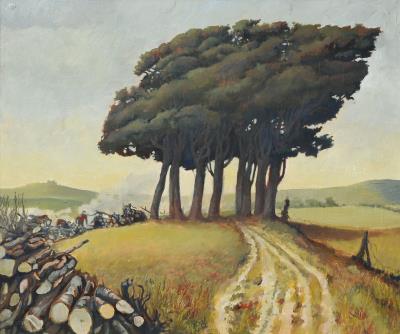 Wood Cleaning, South Downs