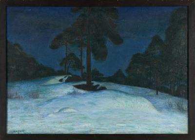 Winter Evening in the Forest