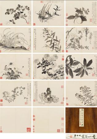 Fruits and Flora