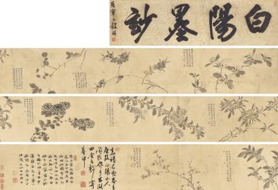 Flowers of the Four Seasons