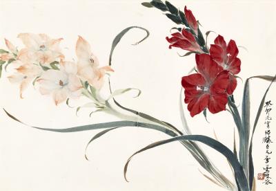 Gladioli