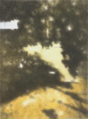 Shadow of the Trees