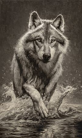 Alpha Splash