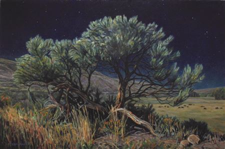 Moonlight on the West by Bruce Miller - Auction record, sale price, and art valuation. Compare with similar artists and explore comparable artworks.