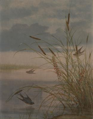 Birds in a Marsh Landscape