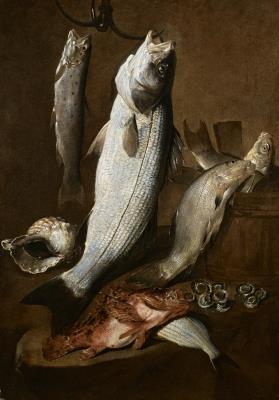 Still life of fish with char, bass, rockfish, sea bream and shells