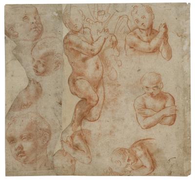 Studies of four putti and five heads of children (recto); Studies of putti and heads (verso)