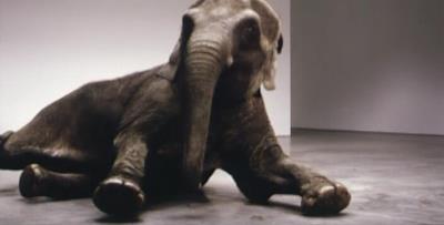 Play Dead; Real Time (Other Way) by Douglas Gordon - Auction record, sale price, and art valuation. Compare with similar artists and explore comparable artworks.