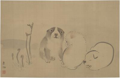 Puppies