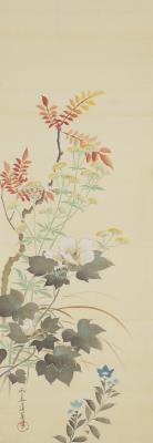 Autumn flowers and grasses