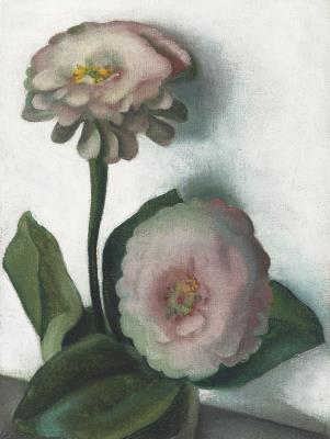 Zinnia - Image 1 of 4