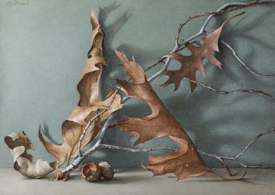 Winter Still Life