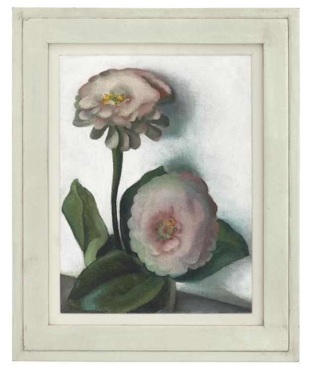 Zinnia - Image 2 of 4