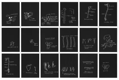 Anatomy - Image 1 of 8